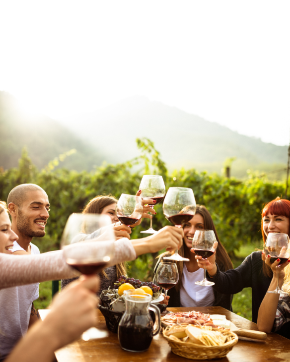 Wine tours in Adelaide