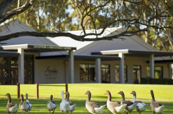 Private McLaren Vale Wine Tour
