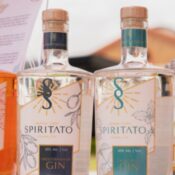 gin and wine tour