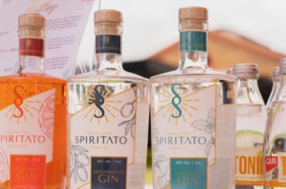 A Private Adelaide Tour with Gin, Wine, and the Unexplored Route