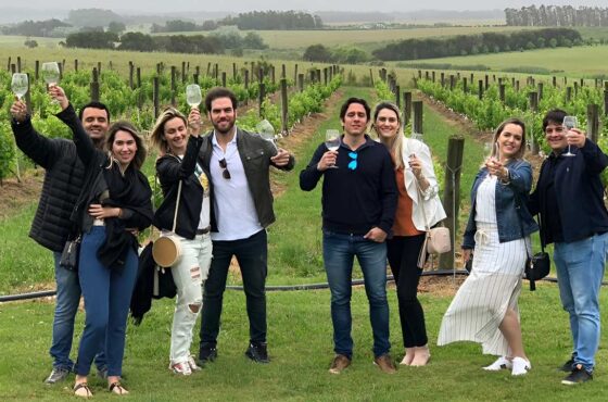 Top 5 Reasons to Book a Wine Tour for Your Next Getaway
