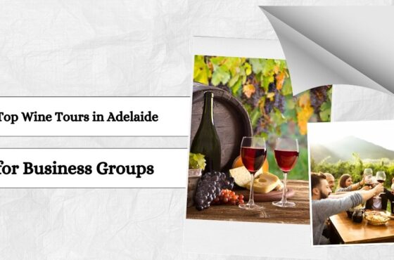 Top Wine Tours in Adelaide for Business Groups