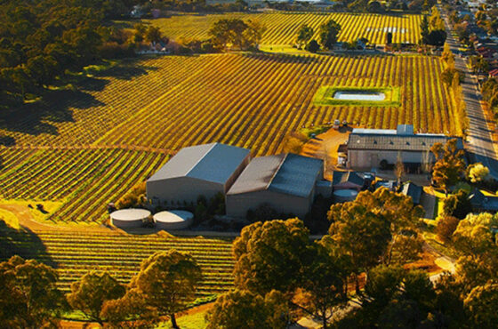 Private Barossa Valley Wine Tour