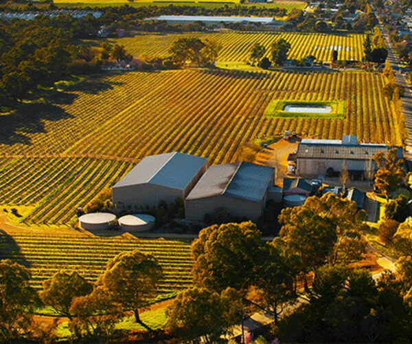 Private Barossa Valley Wine Tour
