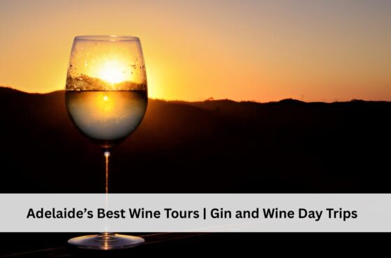 Adelaide’s Best Wine Tours | Gin and Wine Day Trips