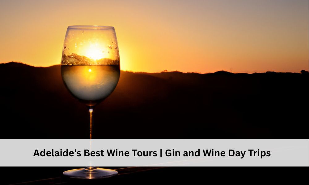 gin and wine tour