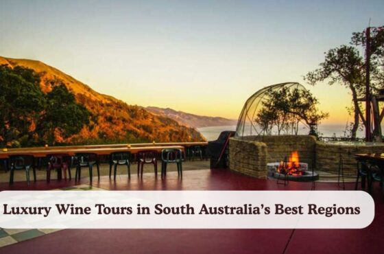 Luxury Wine Tours in South Australia’s Best Regions