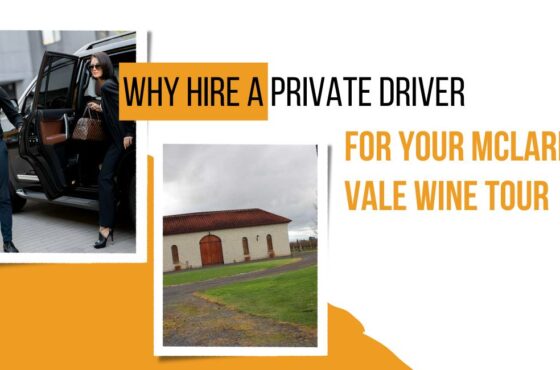 Why Hire a Private Driver for Your McLaren Vale Wine Tour