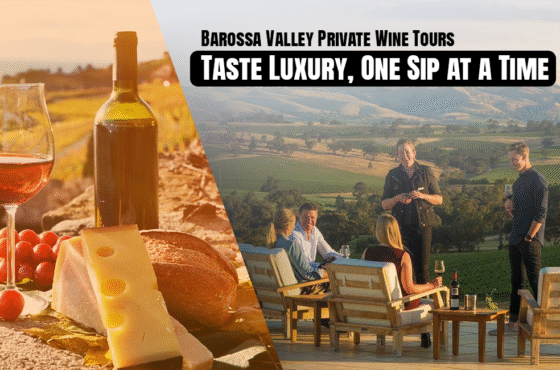 Barossa Valley Private Wine Tours – Taste Luxury, One Sip at a Time