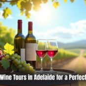 wine tours in Adelaide