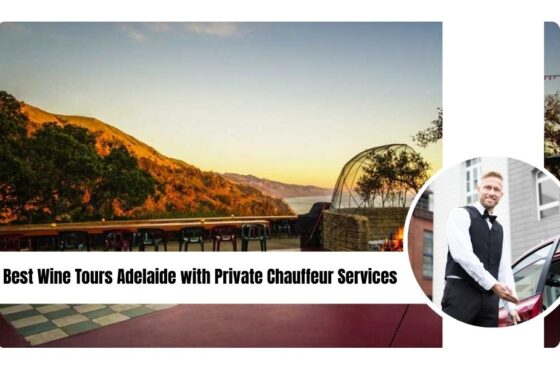 Best Wine Tours Adelaide with Private Chauffeur Services