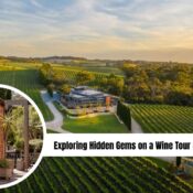 wine tour in Adelaide