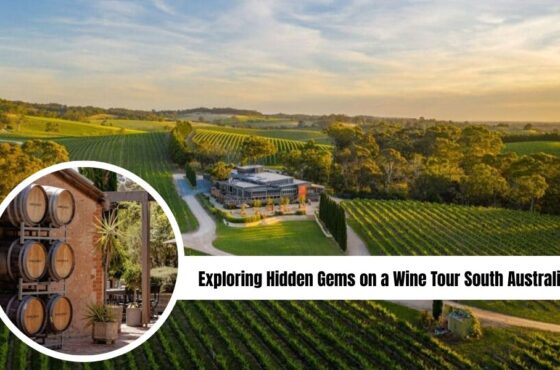 Exploring Hidden Gems on a Wine Tour South Australia