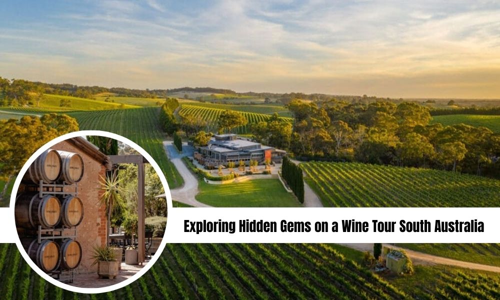wine tour in Adelaide
