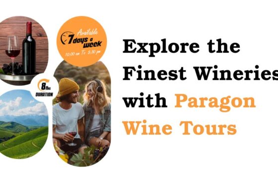 Explore the Finest Wineries with Paragon Wine Tours