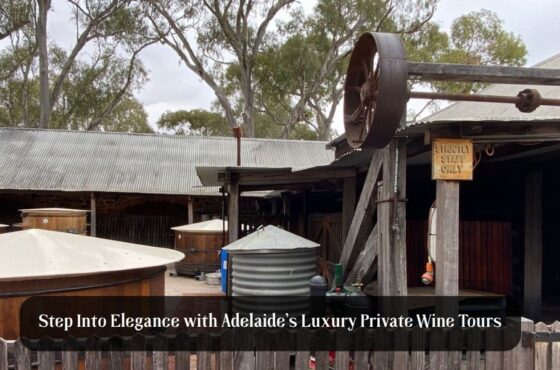 Step Into Elegance with Adelaide’s Luxury Private Wine Tours