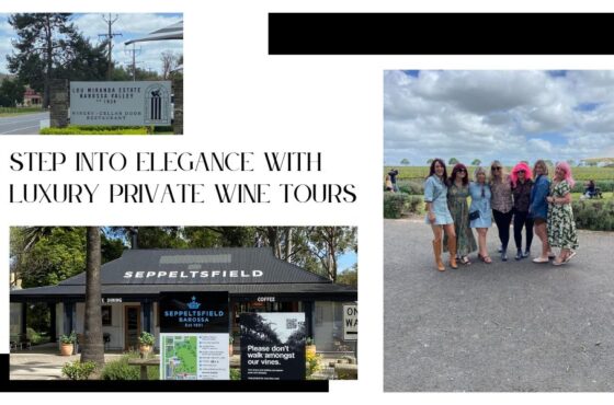 Step Into Elegance with Luxury Private Wine Tours