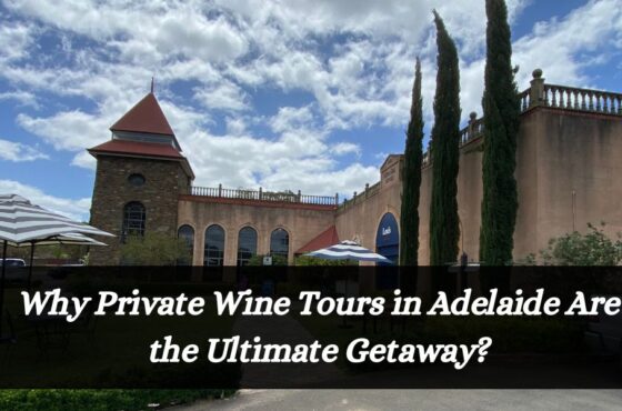 Why Private Wine Tours in Adelaide Are the Ultimate Getaway?
