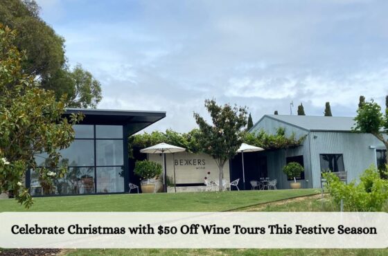 Celebrate Christmas with $50 Off Wine Tours This Festive Season
