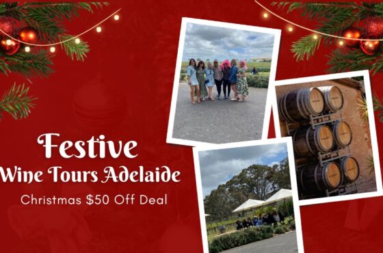 Festive Wine Tours Adelaide On Christmas $50 Off Deal