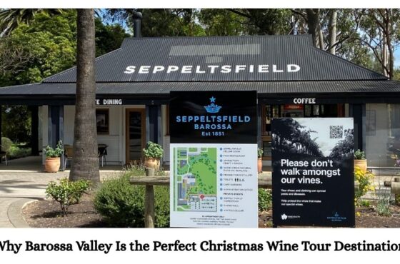 Why Barossa Valley Is the Perfect Christmas Wine Tour Destination