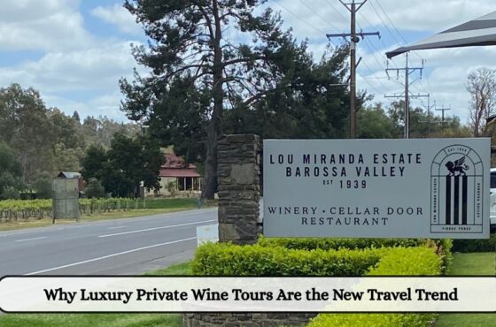 Why Luxury Private Wine Tours Are the New Travel Trend