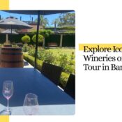 wine tour in Barossa valley